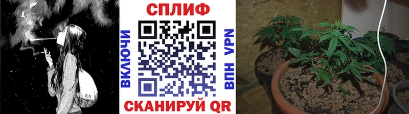 даркнет сайт  OMG   Конопля марихуана  Бикин 